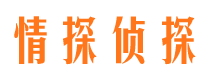 翠峦市调查公司